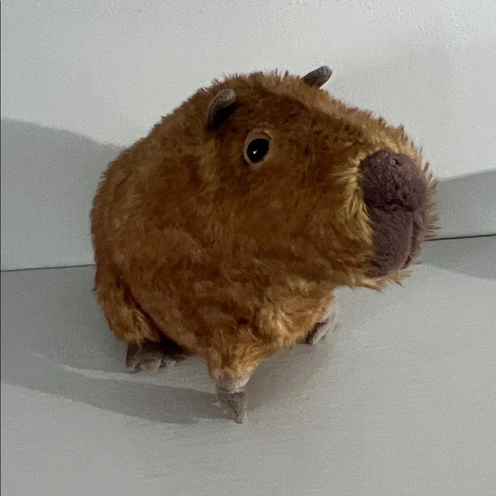 Jellycat clyde capybara (rare) - Picture 1 of 5